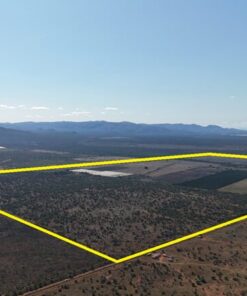 Liquidation Sale | Commercial Irrigated Mixed Farm | Lephalale, Limpopo